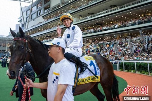 香港特馬王資料免費公開，深度解析與探索，香港特馬王資料深度解析與探索，免費公開揭秘