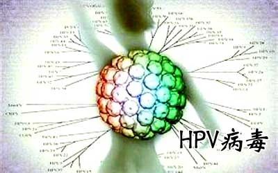 HPV病毒能否徹底清除？深度解析與應(yīng)對(duì)策略，深度解析HPV病毒能否徹底清除，應(yīng)對(duì)策略及應(yīng)對(duì)方法