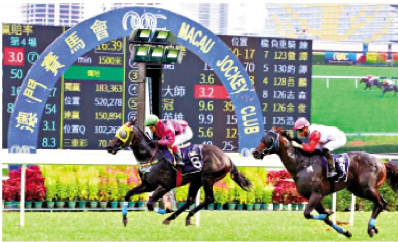 澳門賽馬會，歷史、文化與激情的交融，澳門賽馬會，歷史、文化與激情的盛會