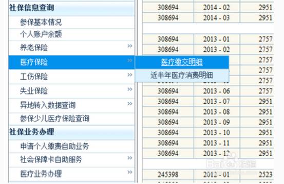 2025新澳門歷史記錄查詢完全指南，澳門歷史記錄查詢完全指南（2025版）