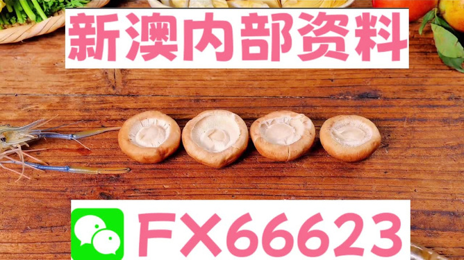 新澳全年免費資料大全——探索與學(xué)習(xí)資源的寶庫，新澳全年免費資料大全，探索與學(xué)習(xí)資源的終極寶庫