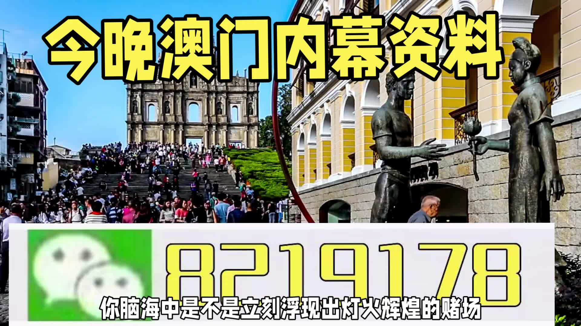 新澳門一肖一特一中，探索與解讀，新澳門一肖一特一中，深度探索與解讀