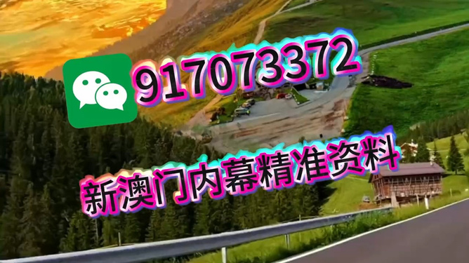 王中王一肖一中特，深度解析與SEO優(yōu)化策略，王中王一肖一中特深度解析與SEO優(yōu)化策略探討
