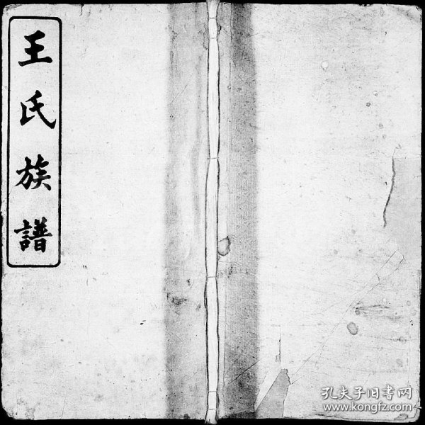 小魚兒一肖王中王興典，探索背后的故事與奧秘，小魚兒一肖王中王興典，背后的故事與奧秘揭秘
