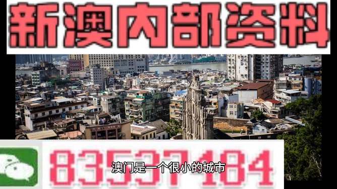 新澳門精準(zhǔn)四肖期準(zhǔn)，探索背后的秘密與策略，澳門精準(zhǔn)四肖期背后的秘密與策略探索