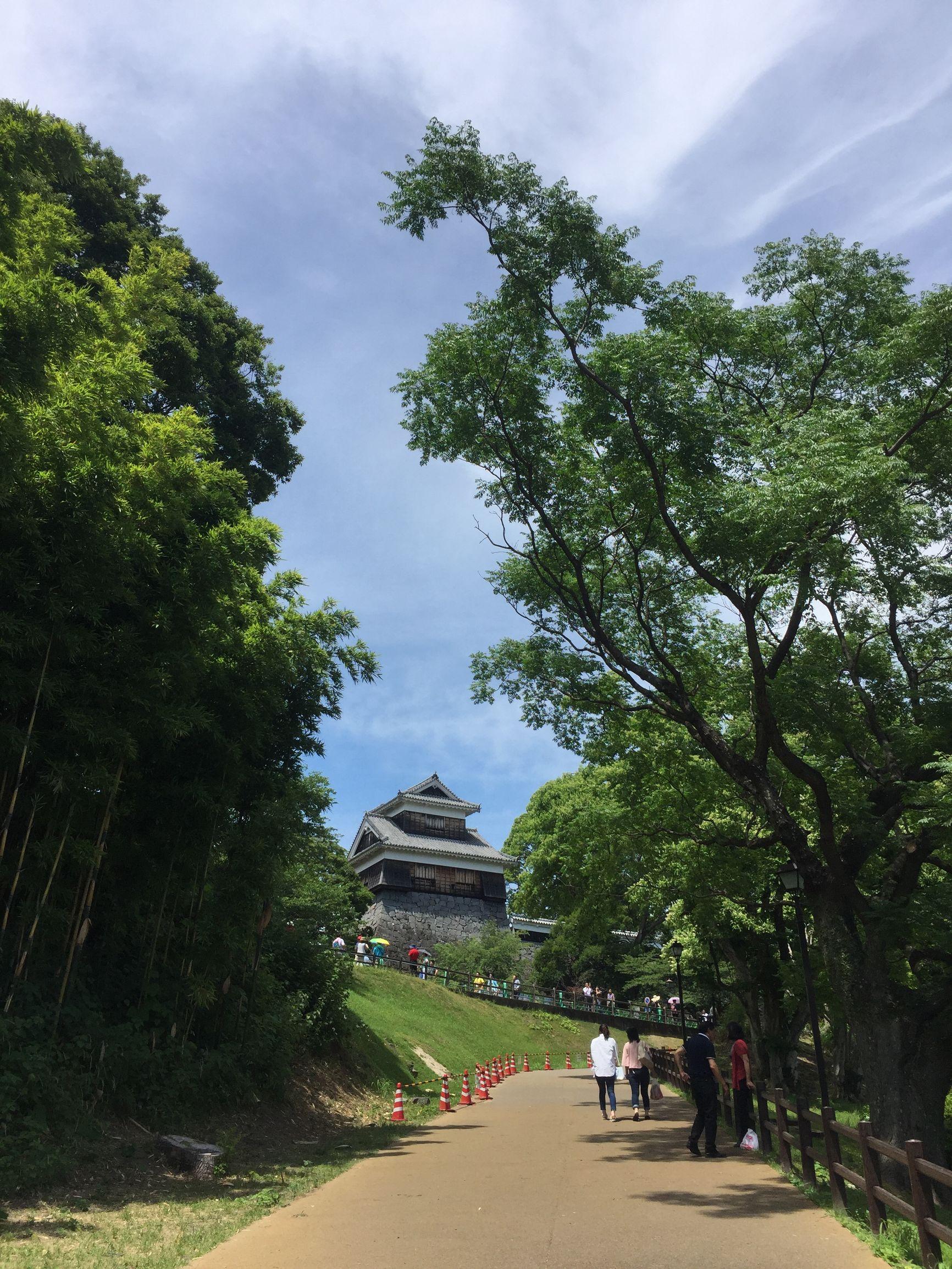 上海游輪旅游路線及價(jià)格詳解，上海游輪旅游路線與價(jià)格全面解析