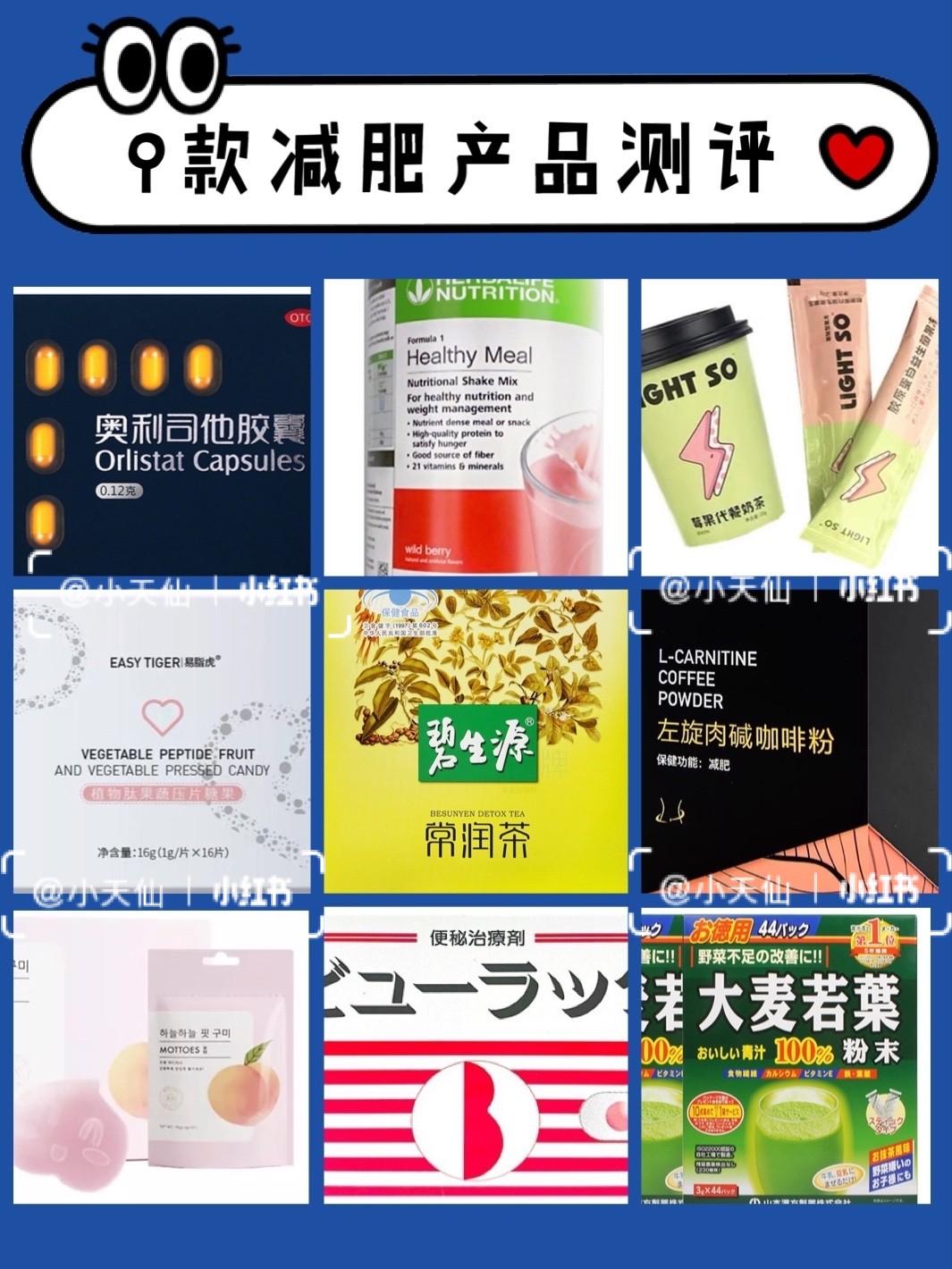 世界公認的減肥藥，探索最有效的減重解決方案，世界公認減肥藥，探索最有效的減重解決方案