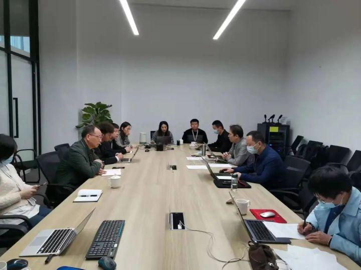 隆平高科股票股，投資潛力與市場前景分析，隆平高科股票投資潛力與市場前景深度解析