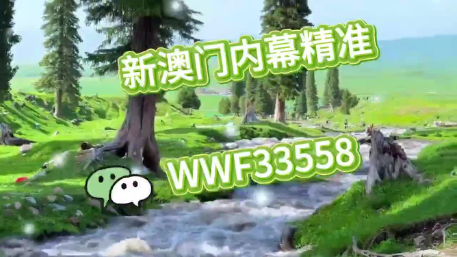 首選王中王打一生肖——揭秘生肖之王的獨特魅力，揭秘生肖之王獨特魅力，王中王所指生肖揭曉