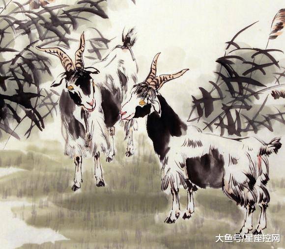 澳門最快開獎(jiǎng)六開生肖，揭秘彩票背后的秘密，澳門六開生肖彩票背后的秘密揭曉