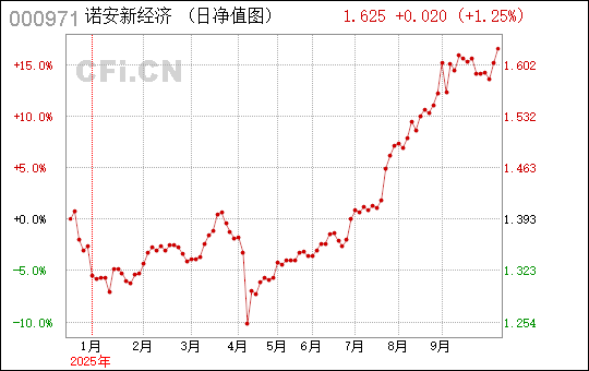 諾安新經(jīng)濟基金，探索未來經(jīng)濟的核心力量，諾安新經(jīng)濟基金，引領未來經(jīng)濟核心力量探索之旅