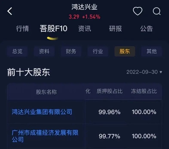 鴻達股份股票，深度解析與前景展望，鴻達股份股票深度解析及未來前景展望