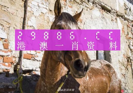 揭秘王中王資料，一肖正特馬的奧秘，揭秘王中王資料與一肖正特馬的神秘面紗