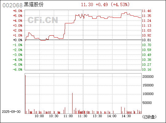 深入了解，關(guān)于股票代碼中的秘密——002068，揭秘股票代碼中的秘密，002068深度解析