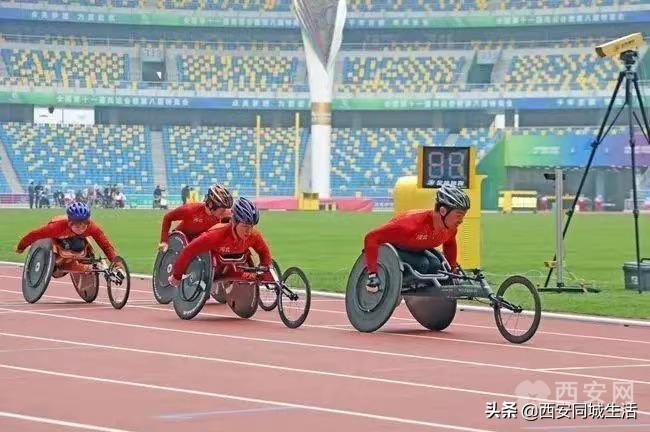 探索澳門未來，2025新澳門正版免費資本車展望，澳門未來展望，2025資本車正版免費探索之旅