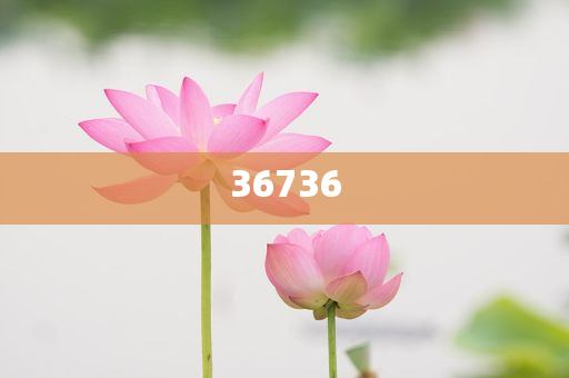 揭秘7777788888精準(zhǔn)新傳真，真相大揭秘，揭秘精準(zhǔn)新傳真背后的真相，77777與88888的神秘面紗被揭開