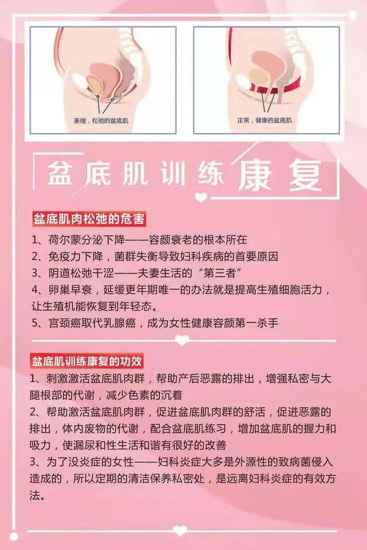 盆底肌修復的最佳方法，全面解析與實用指南，盆底肌修復全攻略，實用方法與指南解析