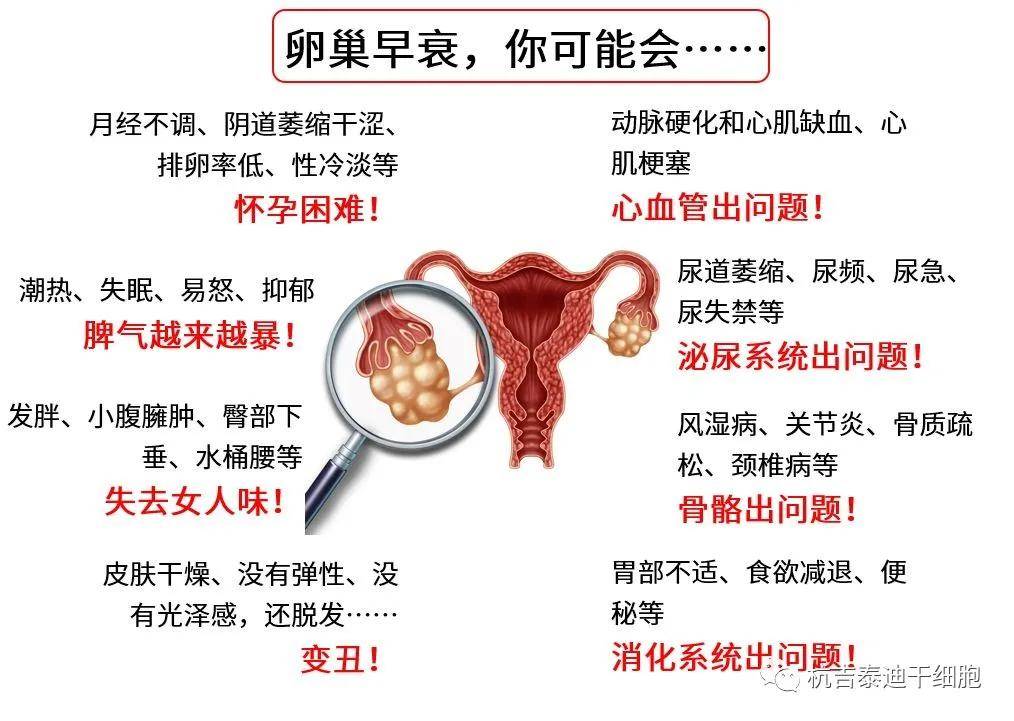 四十歲卵巢早衰能否調(diào)整回來？解讀卵巢早衰與應(yīng)對策略，四十歲卵巢早衰能否調(diào)整回來？解讀卵巢早衰現(xiàn)象及應(yīng)對策略