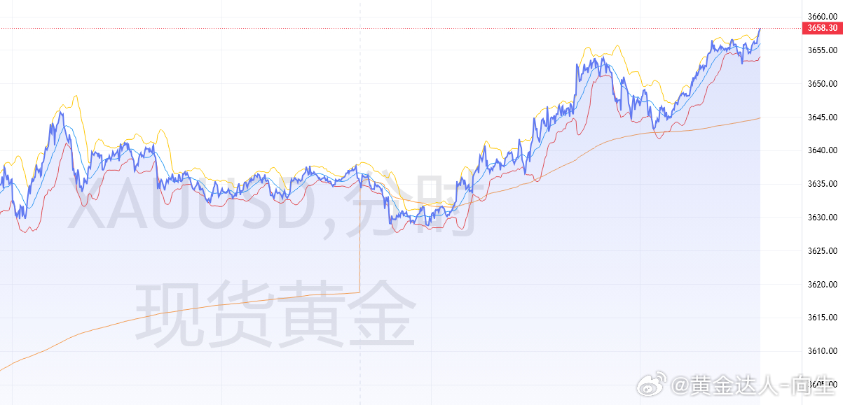 黃金行情走勢圖，深度解析與預測，黃金行情走勢深度解析與預測圖發(fā)布