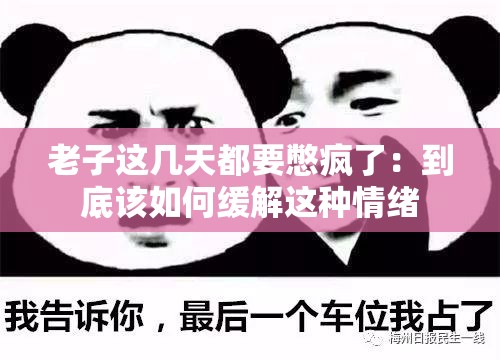 老子這幾天都要憋瘋了——探索心理壓力的釋放與生活的平衡，心理壓力釋放與生活平衡之道，探尋釋放壓力，恢復(fù)內(nèi)心寧靜之道