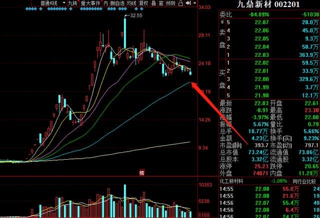 股票002201，深度解析與前景展望，股票002201深度解析與未來前景展望