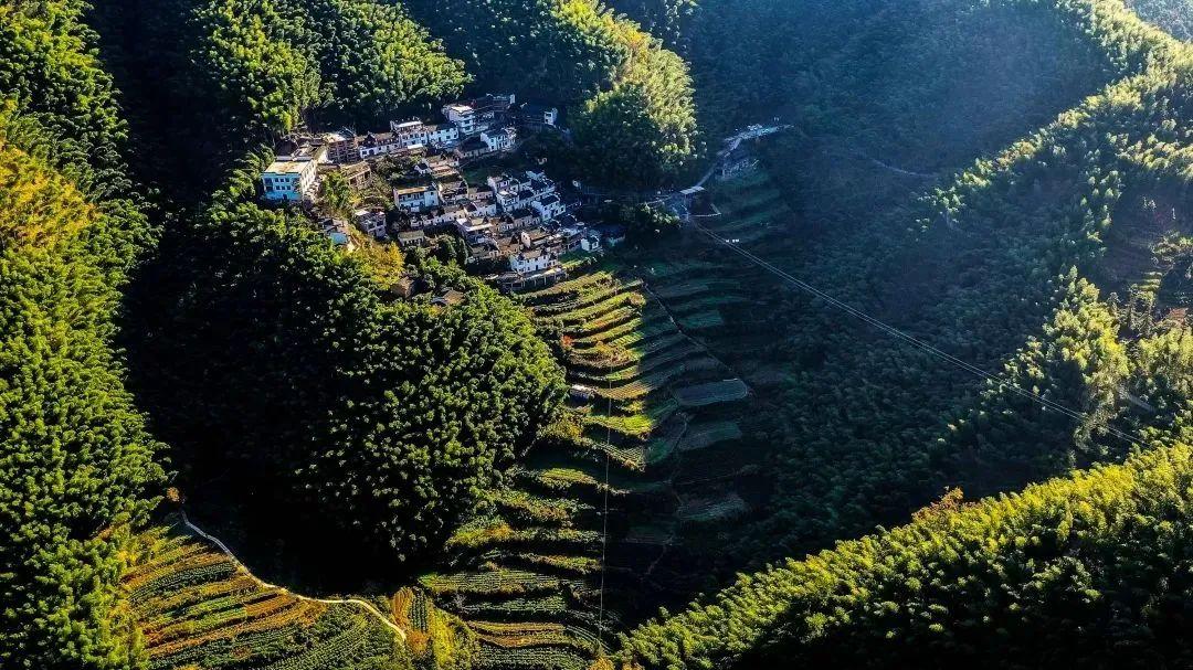 黃山自駕一日游最佳路線攻略，黃山自駕游一日游最佳路線攻略揭秘
