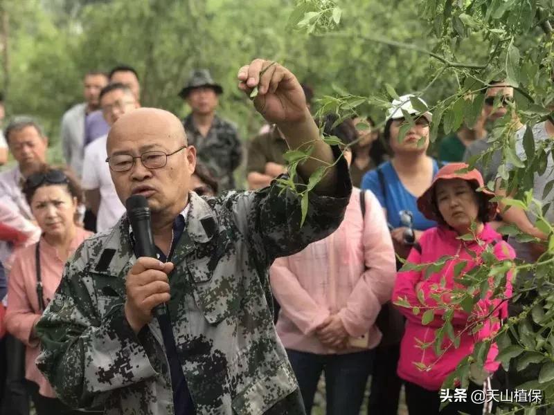 長期吃紅棗的潛在害處，了解并平衡飲食健康，長期食用紅棗的潛在風(fēng)險與飲食平衡的重要性