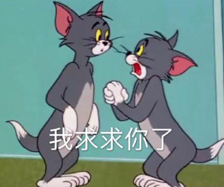 湯姆貓股票股吧，投資熱點與前景展望，湯姆貓股票股吧，投資熱點與未來前景展望