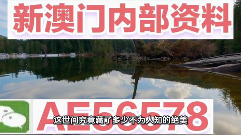 揭秘澳門精準(zhǔn)四不像，預(yù)測未來的趨勢與探索（2025展望），澳門精準(zhǔn)四不像揭秘，未來趨勢展望與探索（2025年預(yù)測）