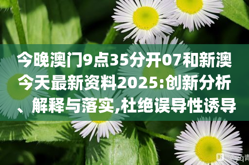新澳今天最新資料，深度解讀與探索，新澳今日深度解讀與探索最新資料