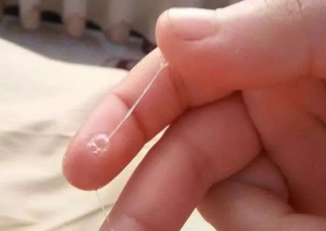 突然一灘水與排卵，解讀女性身體信號，女性身體信號解讀，排卵期的水灘現(xiàn)象解析