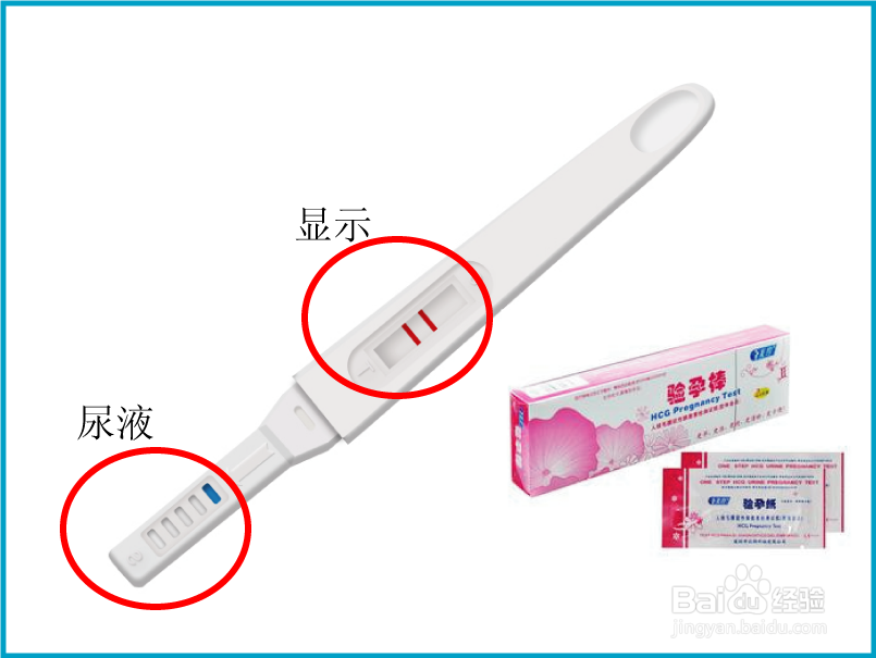 驗(yàn)孕棒使用方法詳解，準(zhǔn)確、高效的自我檢測指南，驗(yàn)孕棒使用詳解，準(zhǔn)確高效的自我檢測指南