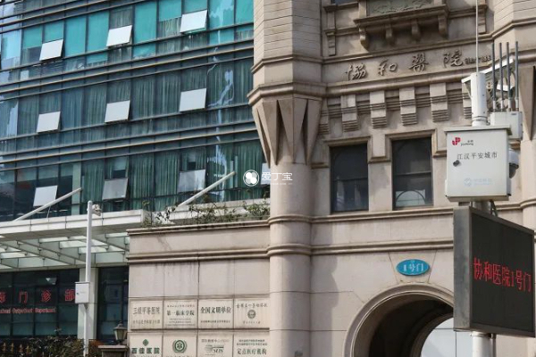 武漢協(xié)和醫(yī)院，卓越醫(yī)療的典范，武漢協(xié)和醫(yī)院，卓越醫(yī)療典范，健康守護先鋒