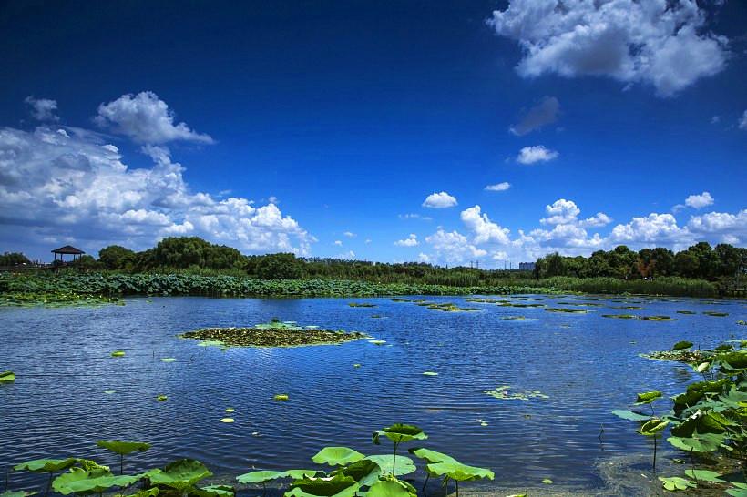 山東天氣最新消息，全面了解山東各地的氣象動態(tài)，山東最新天氣預(yù)報，全面解讀各地氣象動態(tài)