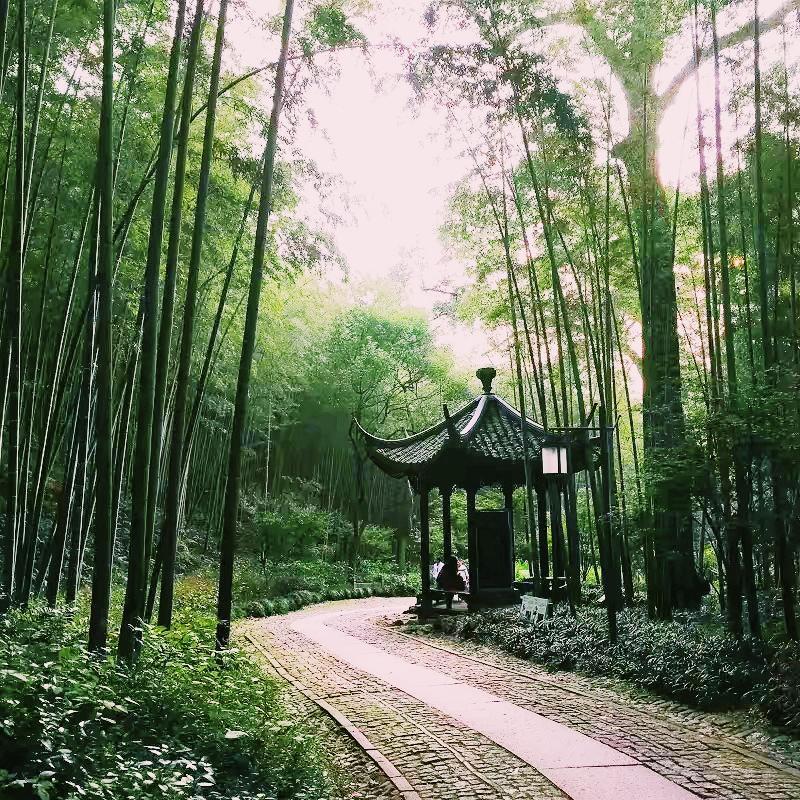 杭州西湖的十大景點(diǎn)——領(lǐng)略千年風(fēng)華之美，杭州西湖十大景點(diǎn)，千年風(fēng)華一覽無遺