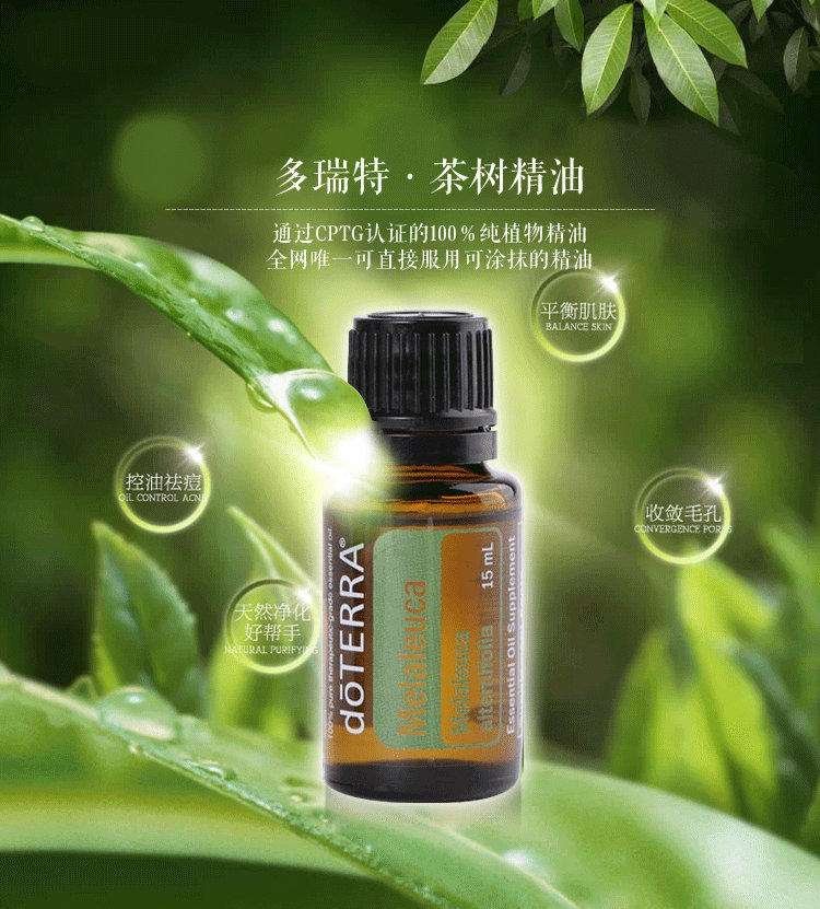 茶樹精油的功效與作用，深入了解茶樹精油的多元價值，茶樹精油多元價值揭秘，功效與作用詳解