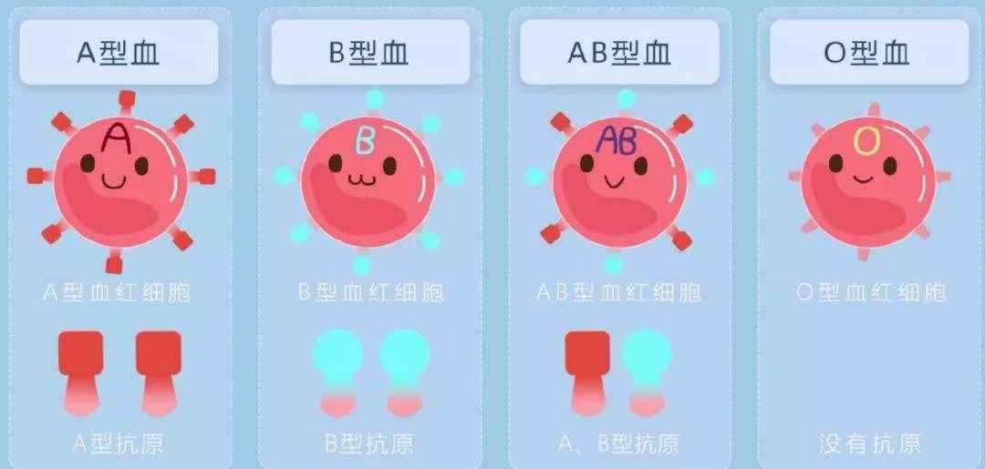 關(guān)于血型相克與不孕不育的問題解析，血型相克與不孕不育關(guān)系解析