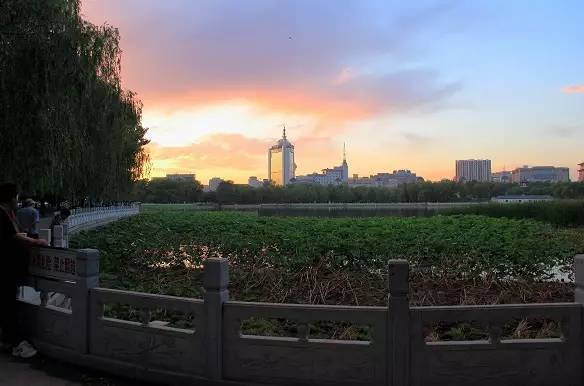 北京值得去的公園排行，探索城市中的綠色寶藏，北京必游公園排行榜，探尋城市中的綠意秘境