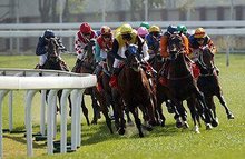 澳門賽馬六月份開獎結(jié)果及賽事分析，澳門六月份賽馬開獎結(jié)果與賽事深度解析