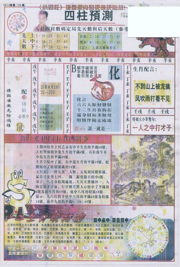 王中王看圖找一肖79期，揭秘生肖奧秘與獨特魅力，揭秘生肖奧秘與獨特魅力，王中王看圖找一肖79期探索之旅