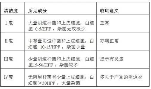 滴蟲與霉菌，哪個(gè)更嚴(yán)重？深入了解兩者的差異與影響，滴蟲與霉菌，哪個(gè)更嚴(yán)重？差異與影響深度解析