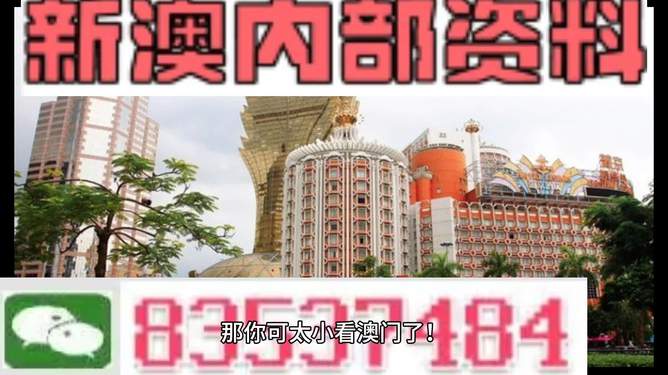 新澳新澳門正版資料，探索與解析，新澳新澳門正版資料深度解析與探索