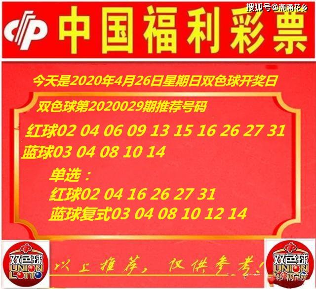 王中王029期指一生肖，揭秘生肖魅力與預測背后的秘密，揭秘生肖魅力與預測背后的秘密，王中王生肖預測第029期揭曉