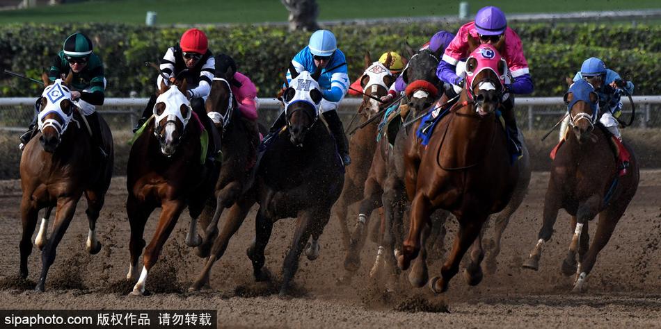 王中王馬開獎一肖中，揭秘彩票背后的秘密與策略，揭秘彩票背后的秘密與策略，王中王馬開獎一肖中的真相探討