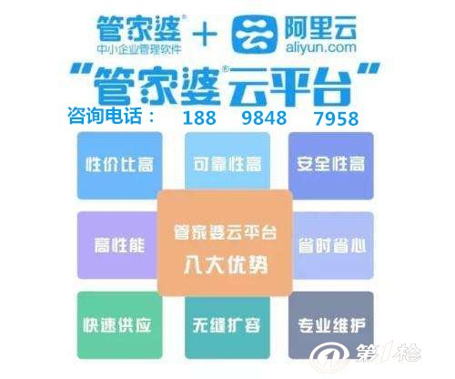 管家婆一肖王中王，揭秘背后的神秘面紗，揭秘管家婆一肖王中王背后的神秘面紗