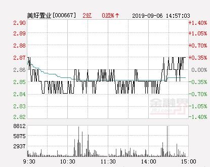 探索美好置業(yè)股吧，揭秘代碼000667背后的故事，揭秘美好置業(yè)股吧，探尋代碼000667背后的故事