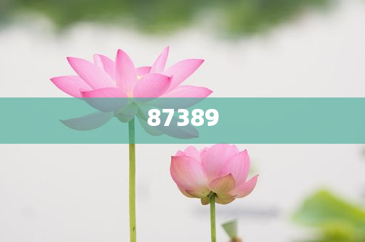 一肖是否包括特肖？深度解析生肖文化中的奧秘，深度解析生肖文化，一肖是否包含特肖？