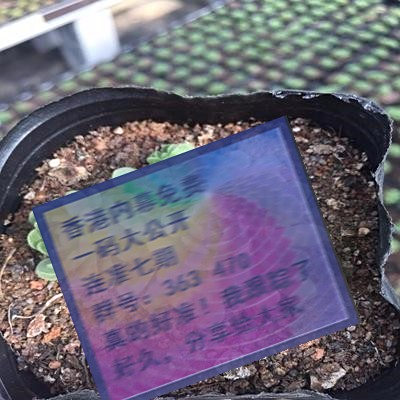 關于三肖賠多少錢的全面解析，三肖賠款金額全面解析