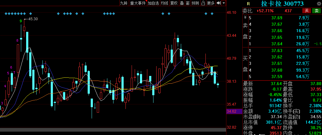 數(shù)字經(jīng)濟(jì)龍頭股票概覽，哪些股票值得關(guān)注？，數(shù)字經(jīng)濟(jì)龍頭股票概覽，哪些股票值得投資者關(guān)注？