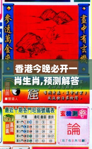 香港與彩王中王精準(zhǔn)一肖，揭秘彩票背后的秘密，揭秘彩票背后的秘密，香港與彩王中王精準(zhǔn)一肖探究